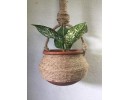 clay pots clay pots clay pots clay pots
