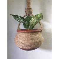 Hanging plant holder
