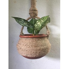 Hanging plant holder