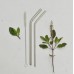 Stainless Steel Straw Chunky (Bent)
